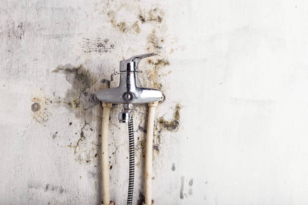 Best Home Mold Removal  in Tega Cay, SC