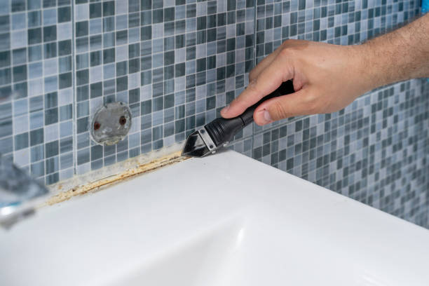 Best Black Mold Removal  in Tega Cay, SC