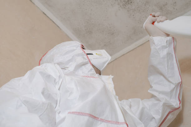 Water Damage Restoration in Tega Cay, SC